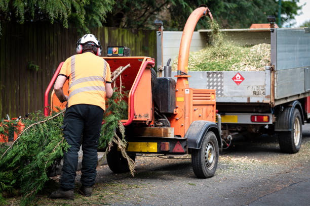 Best Residential Tree Removal  in Fairfield Bay, AR